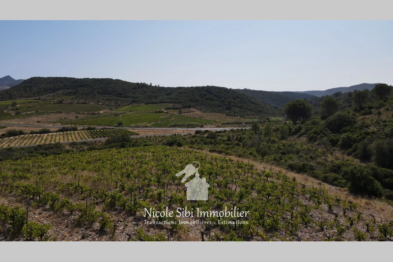 Vente terrain Tautavel  
