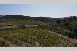 Vente terrain Tautavel  