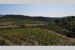 Vente terrain Tautavel  