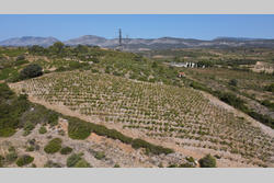 Vente terrain Tautavel  