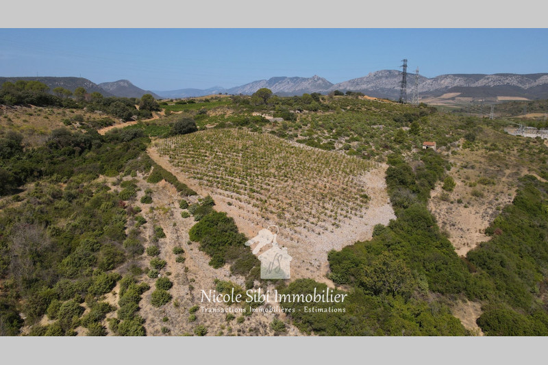 Vente terrain Tautavel  