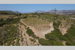 Vente terrain Tautavel  