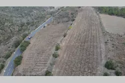 Vente terrain agricole Montner  
