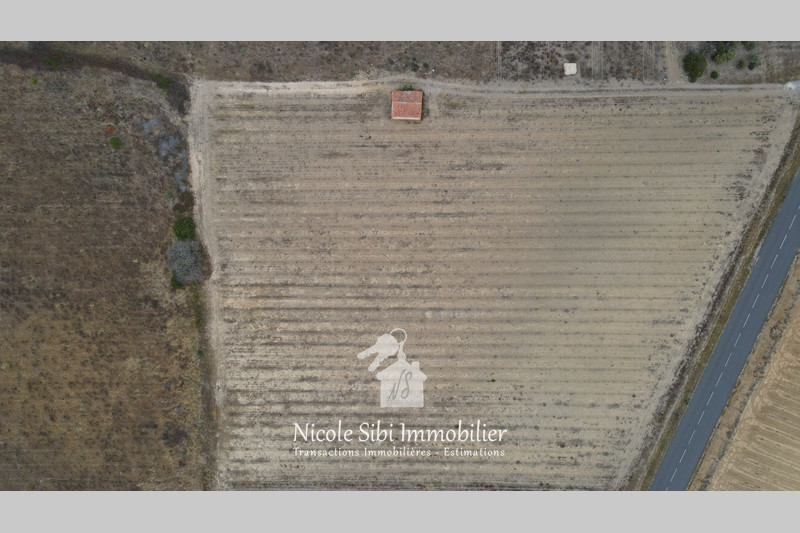 Vente terrain agricole Tautavel  
