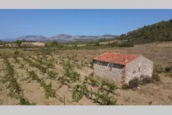 Vente terrain agricole Tautavel  