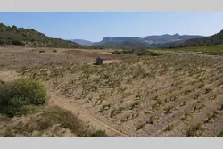 Vente terrain agricole Tautavel  