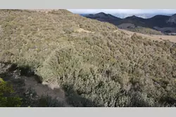 Vente terrain Rasiguères  