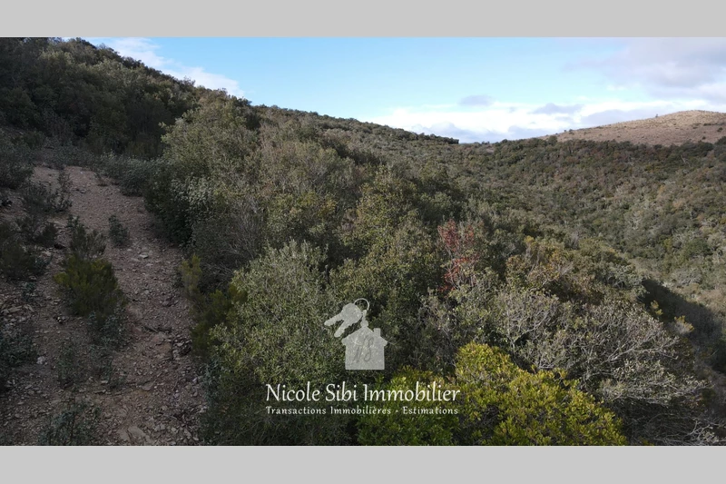 Vente terrain Rasiguères  