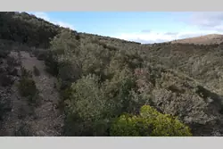 Vente terrain Rasiguères  