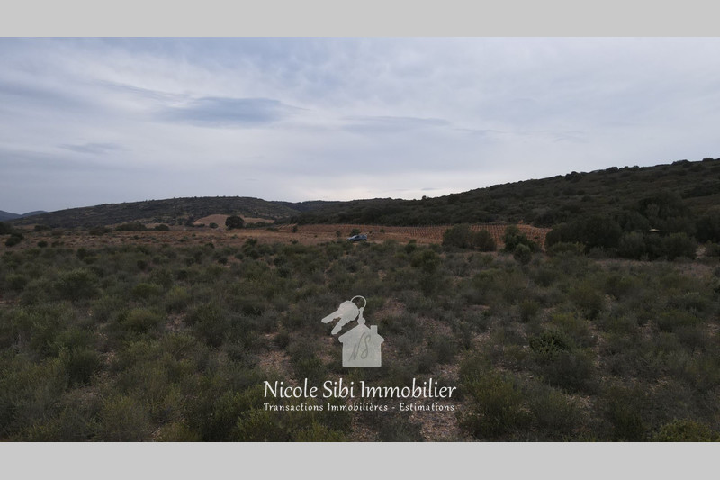 Vente terrain agricole Calce  