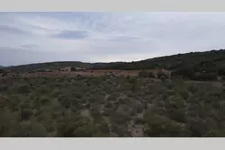 Vente terrain agricole Calce  