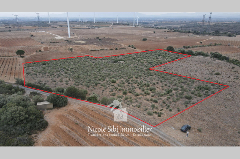 Vente terrain agricole Calce  