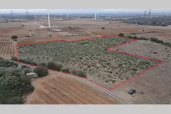 Vente terrain agricole Calce  