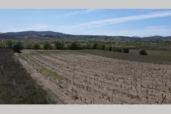 Vente terrain agricole Estagel  