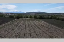 Vente terrain agricole Estagel  