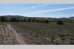 Vente terrain agricole Estagel  