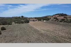 Vente terrain agricole Estagel  