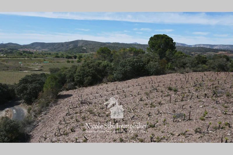 Vente terrain agricole Estagel  