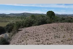Vente terrain agricole Estagel  