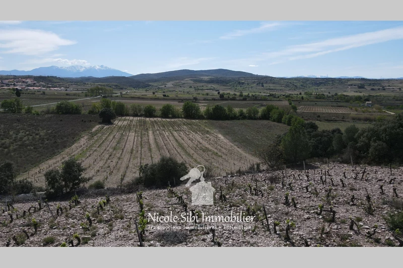Vente terrain agricole Estagel  
