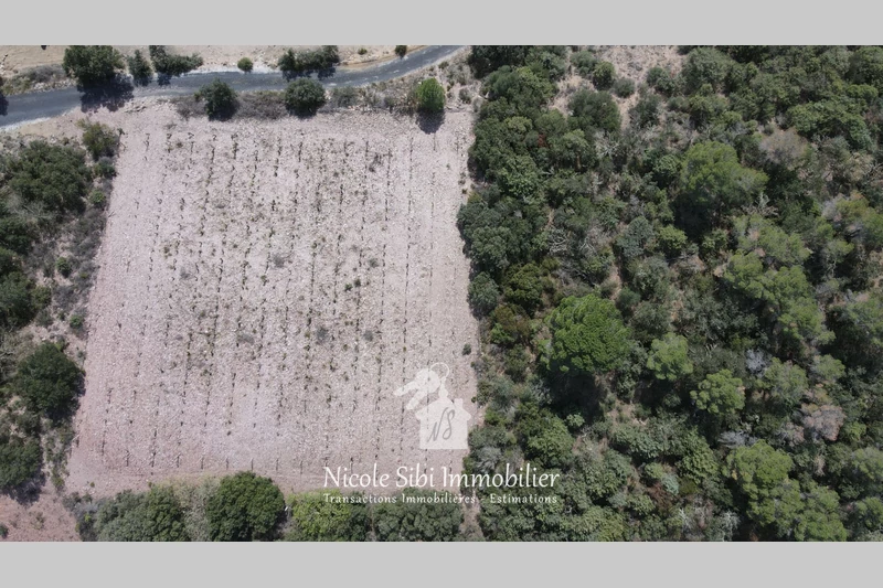 Vente terrain agricole Estagel  