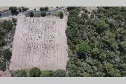 Vente terrain agricole Estagel  