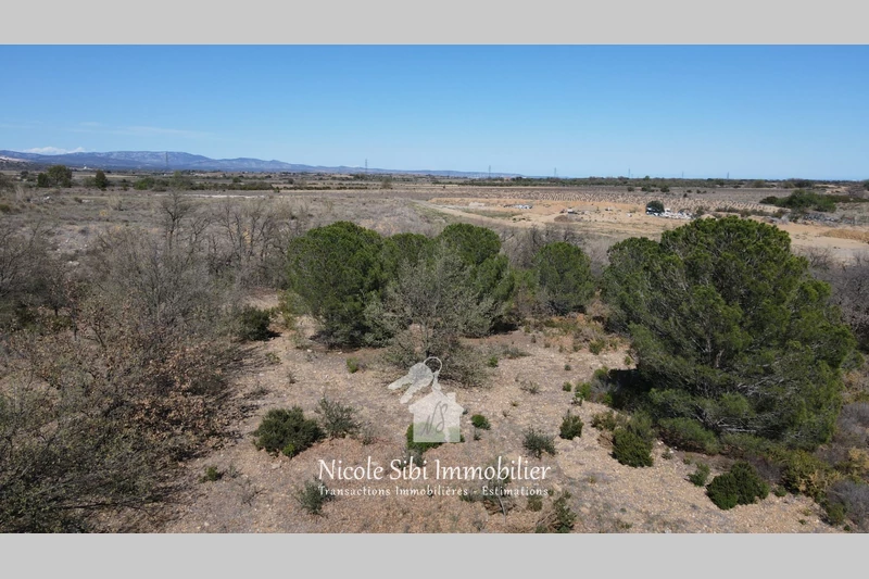 Vente terrain agricole Baixas  