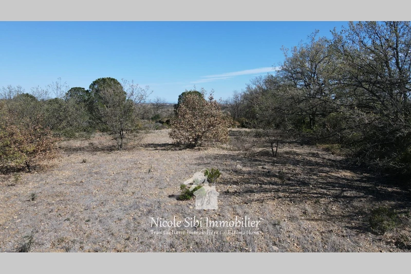 Vente terrain agricole Baixas  