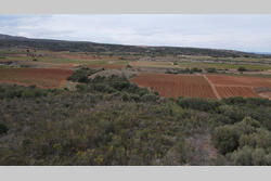 Vente terrain agricole Baixas  