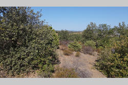 Vente terrain agricole Montner  