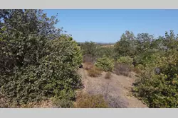 Vente terrain agricole Montner  