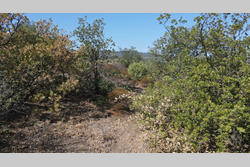 Vente terrain agricole Montner  