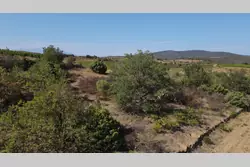 Vente terrain agricole Montner  