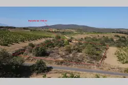 Vente terrain agricole Montner  