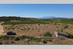 Vente terrain agricole Tautavel  