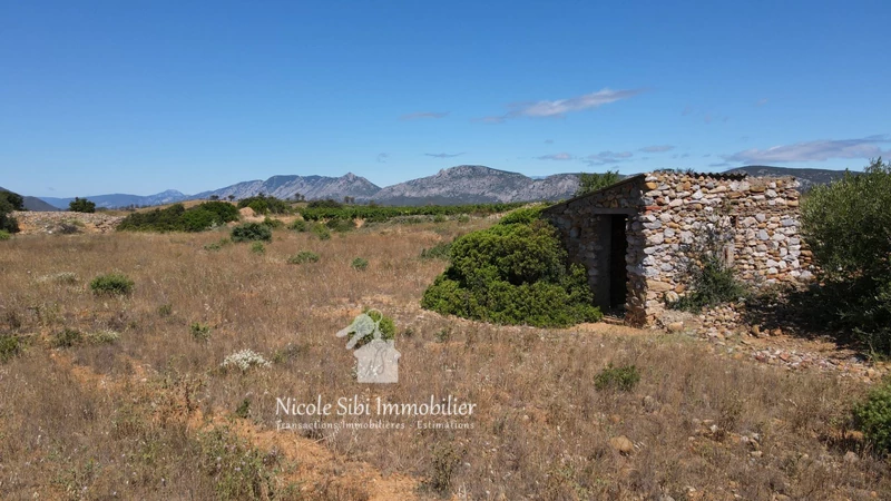 Vente terrain agricole Tautavel  