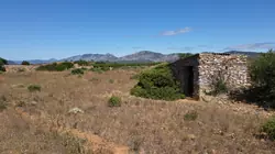 Vente terrain agricole Tautavel  Vente terrain agricole Tautavel