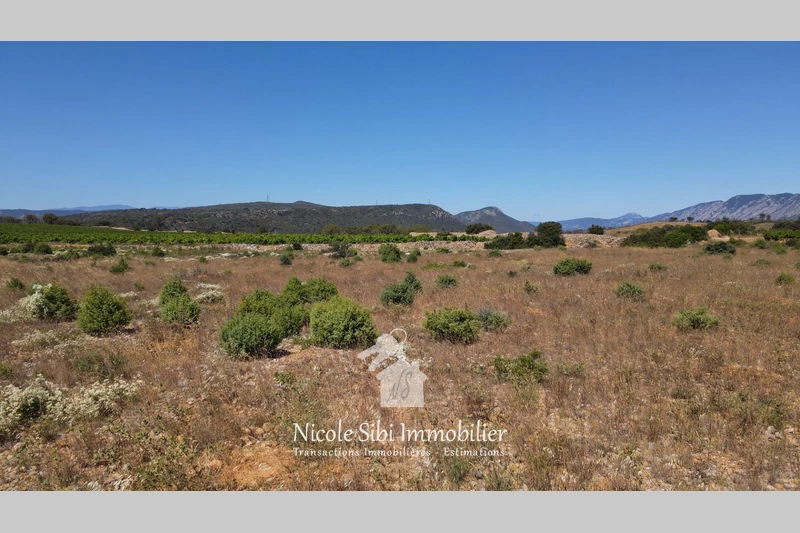 Vente terrain agricole Tautavel  