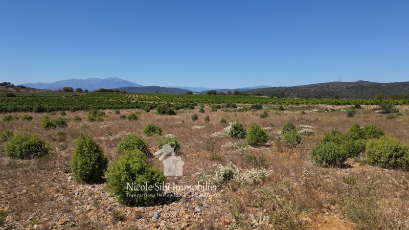 Vente terrain agricole Tautavel  