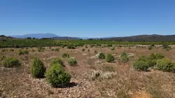 Vente terrain agricole Tautavel  Vente terrain agricole Tautavel