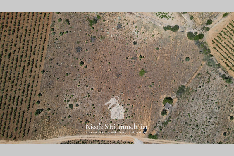Vente terrain agricole Tautavel  