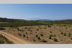 Vente terrain agricole Tautavel  