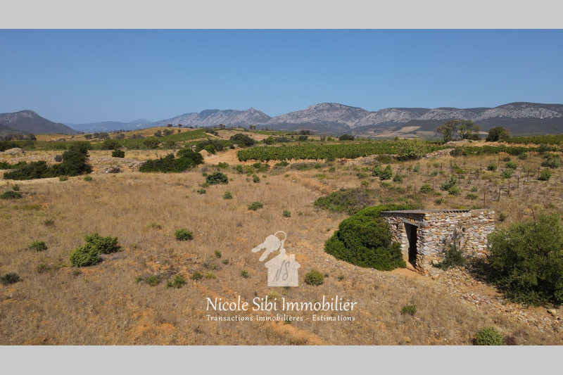 Vente terrain agricole Tautavel  