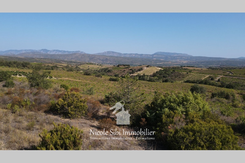 Vente terrain agricole Montner  