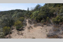 Vente terrain Lansac  