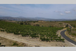 Vente terrain agricole Montner  