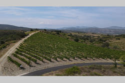 Vente terrain agricole Montner  