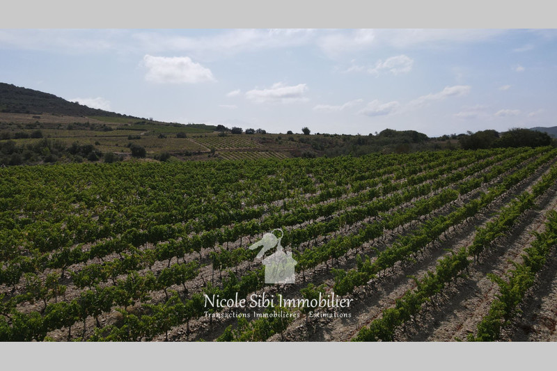 Vente terrain agricole Montner  