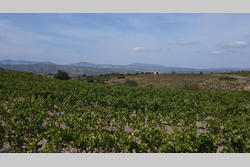 Vente terrain agricole Montner  