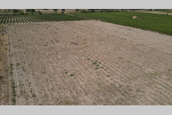 Vente terrain agricole Montner  